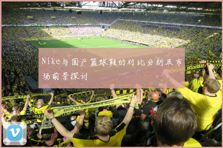 Nike与国产篮球鞋的对比分析及市场前景探讨