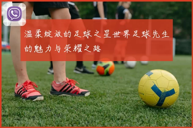 温柔绽放的足球之星世界足球先生的魅力与荣耀之路