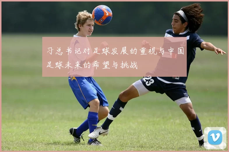 习总书记对足球发展的重视与中国足球未来的希望与挑战